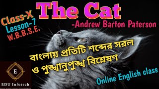 The Cat-Class-X-Lesson-7- বাংলায় প্রতিটি শব্দের পুঙ্খানুপুঙ্খ ও সরল বিশ্লেষণ