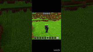Left hand torch I don't for Minecraft##