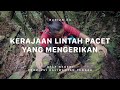 GUNUNG BUKIT RAYA - Atap Negeri Kalimantan Tengah #3