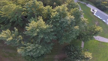 Powerloop Challenge- How many can you do?