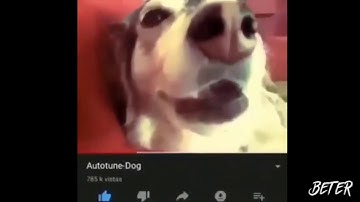 The MOST INCREDIBLY SHORT video on Youtube - part 13