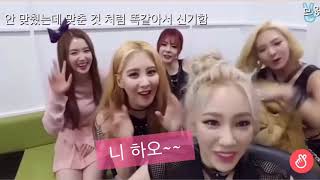 선배 짬바 소녀시대와 수줍은 후배 레드벨벳 아이린의 어색한 인터뷰 시간 (feat. 라이언씨)
