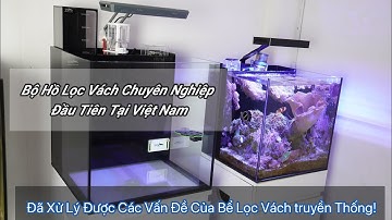 Bộ Hồ Cubic 45 “Rinano” Pro Với Cực Nhiều Cải Tiến!Hồ “Lọc Vách” Chuyên Nghiệp Đầu Tiên Tại Việt Nam