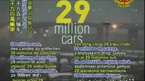 Animals should be treated with respect with human beings!