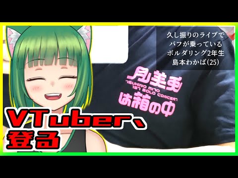 【実写動画】バ美肉VTuber、久し振りのライブでウキウキになった後登っては落ちる【ボルダリング】