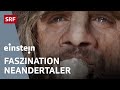 Neandertaler: Jäger, Naturheiler, Nomaden – und unsere Geschwister | Einstein | SRF Wissen