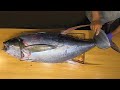 Taiwanese Street Food - TUNA CUTTING SHOW & SUSHI / SASHIMI MEAL