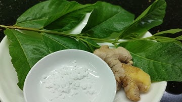 Cách Điều Trị Viêm Đại Tràng Bằng Lá Ổi Tai Nhà.