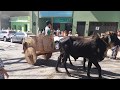 DESFILE DE CARROS DE BOIS EM RESENDE COSTA MG.