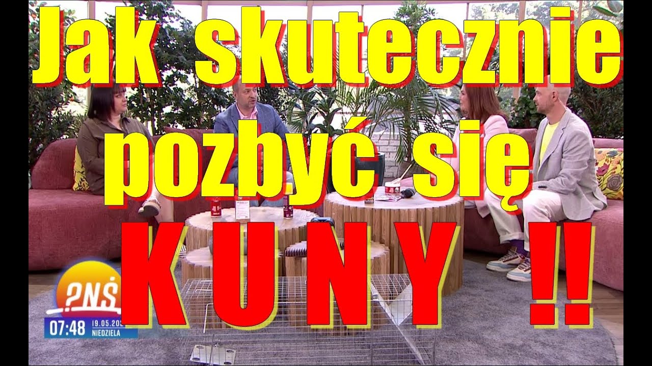 Jak pozbyć się kuny, lub otruć kunę, Eryk Połeć Pytanie na Śniadanie TVP2 PNŚ
