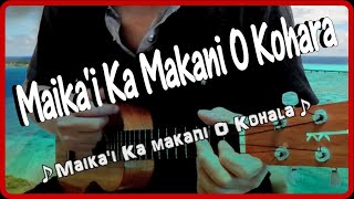 マイカイ・カ・マカニ・オ・コハラ (Ukulele cover)