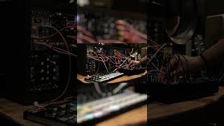 Brutal Bass | Free download on Bandcamp my dudes #shorts #eurorack #synth #beats