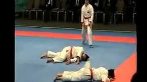 Wadokai Wanshu Kata Bunkai