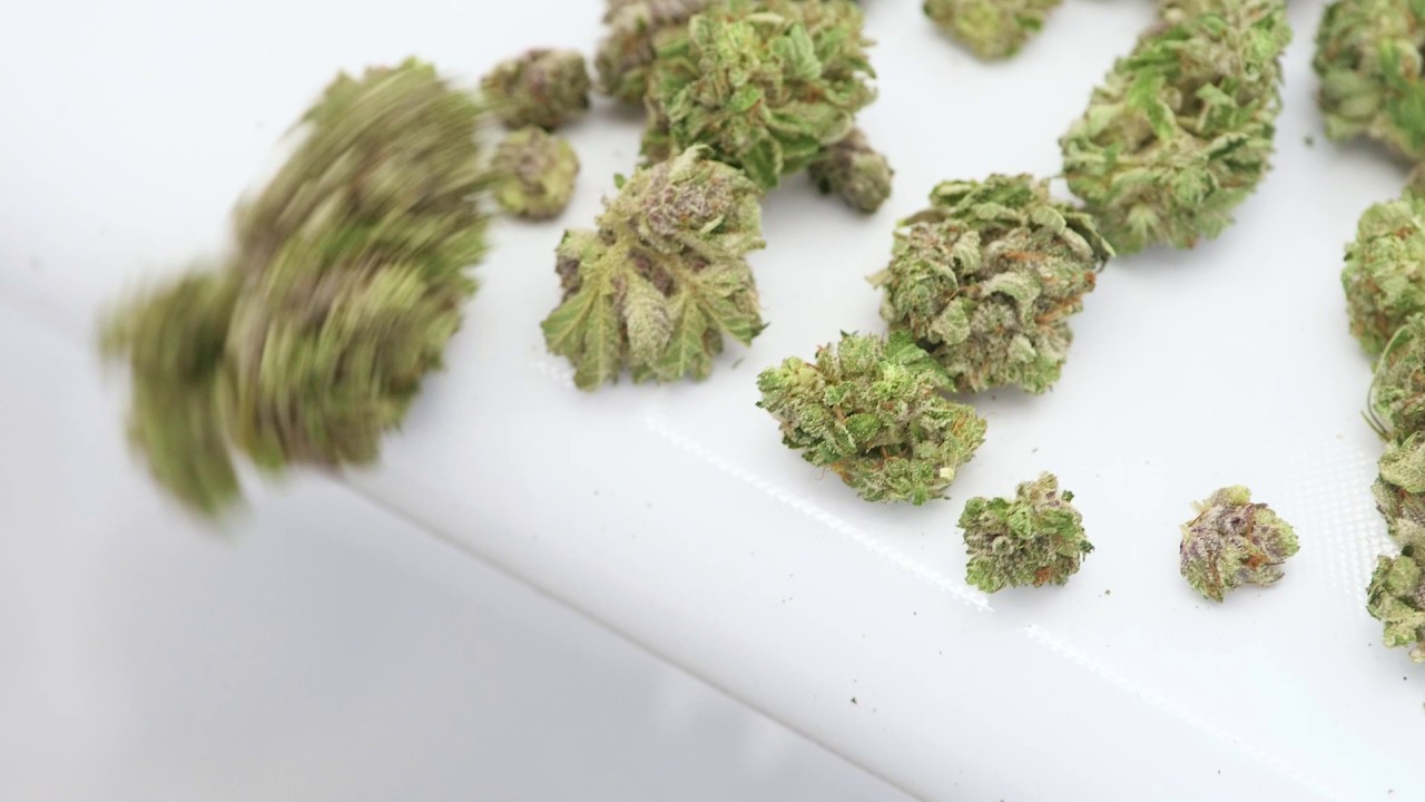 Twister T2 - Overview