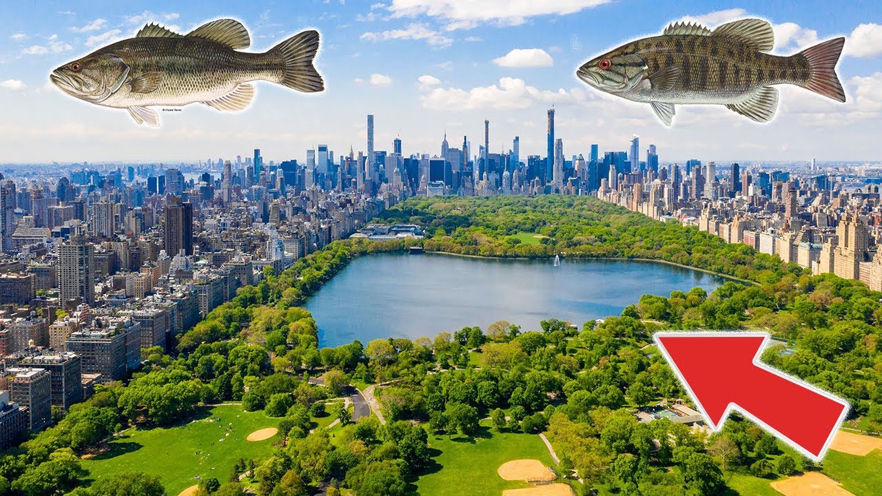 Fishing in Central Park! New York City! (Epic) 