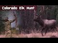 5X5 with Recurve - Colorado Elk Hunt 2020