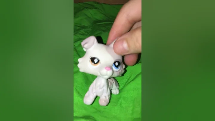 my TikTok is Lauren Sheffield Make sure you go fol...