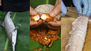 Learn How to Make Baby Shark Curry in Just 1 Minutes! | Best Seafood Recipe