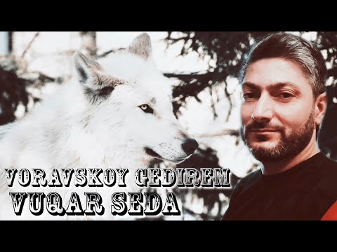 Vuqar Seda - Voravskoy Gedirem (Official Audio) 2021