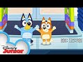 Bluey Season 3 Episode 45 &quot;TV Shop&quot; Episode Clip | @disneyjunior x @BlueyOfficialChannel