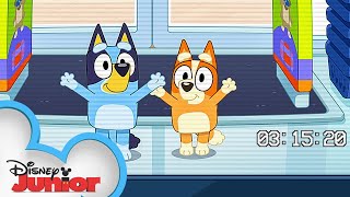 Bluey Season 3 Episode 45 'TV Shop' Episode Clip | @disneyjunior x @BlueyOfficialChannel