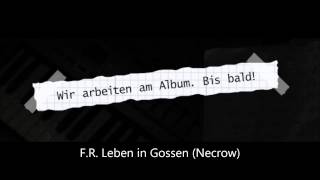 40 Minuten F.R. - Mix aus Unbekannteren Parts/Liedern (2004-2012)