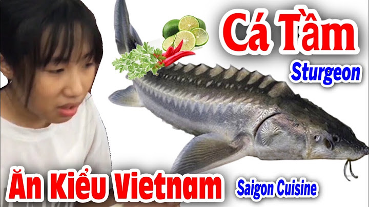 Cá tầm bao nhiêu tiền một ký