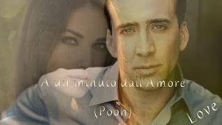Video thumbnail of "Pooh- A un Minuto Dall'Amore-Amore Mio Unico Amore-"