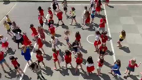 14f7ddcc 5bce 4f10 8b18 9cec69aeb3ec