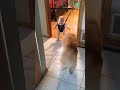 Dog Teaches Baby How to Bounce in Swing!