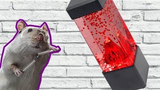 ЛАВА ЛАМПА СВОИМИ РУКАМИ! ЛАЙФХАК КАК СДЕЛАТЬ ЛАВА ЛАМПА СВОИМИ РУКАМИ! ЛАЙФХАК КАК СДЕЛАТЬ