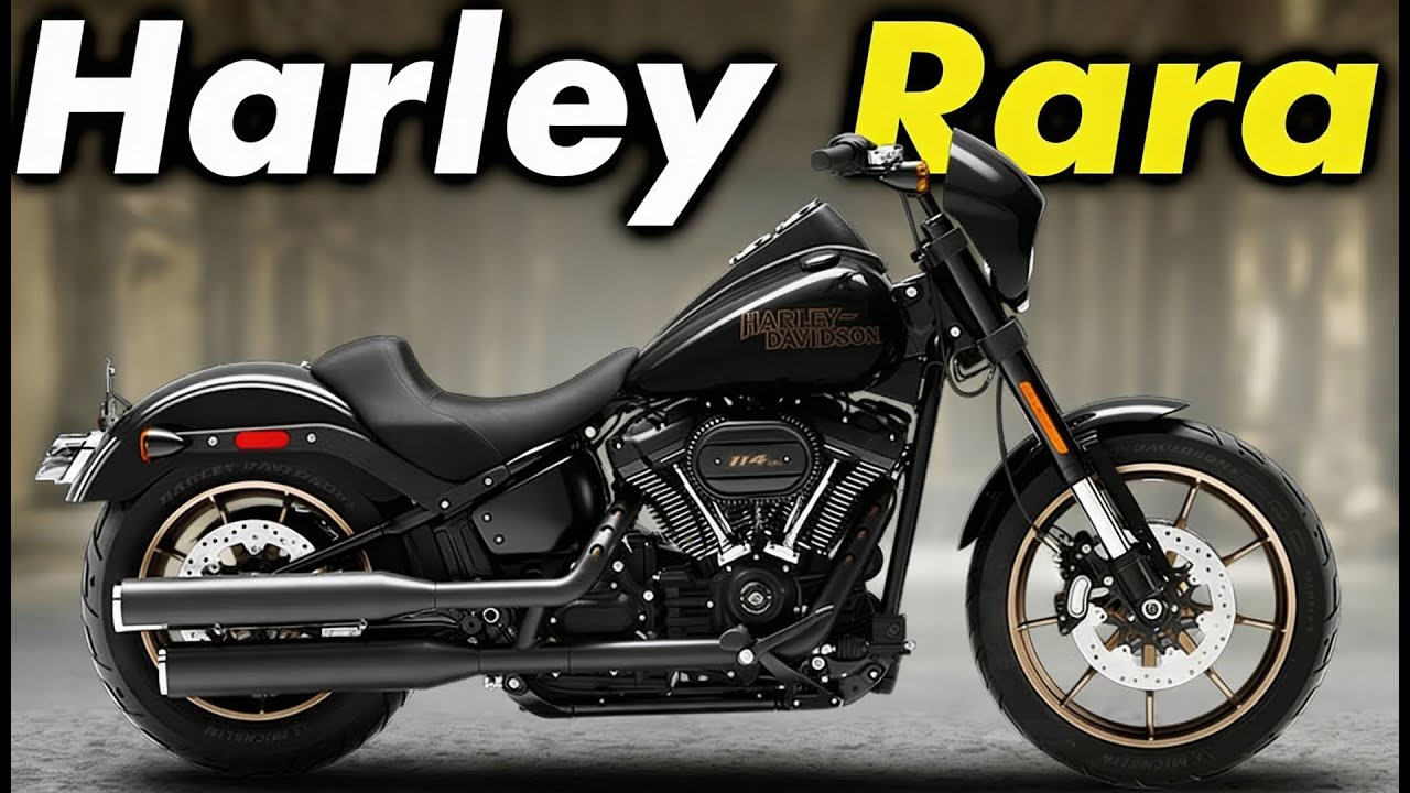 12 MOTOSETEREIOS MAIS RAROS DA HARLEY DAVIDSON DOS ANOS 1980