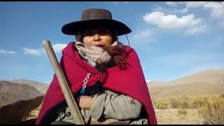 Productores Locales - Comunidad del Cóndor, Yavi, Jujuy