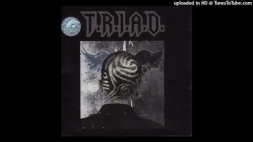 T.R.I.A.D - Selir Hati - Composer : Ahmad Dhani 2010 (CDQ)