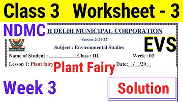 NDMC Class 3 EVS worksheet 3 solution Week 3 (15/06/2021) || worksheet 3 Class 3rd evs
