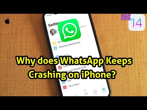Whatsapp business hang issue iphone