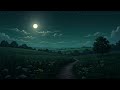 5. 한여름 시골의 밤 – 풀벌레 울음소리에 잠이 듭니다. ASMR 5분뒤 깜깜무드