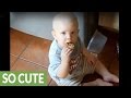 Baby furious at dog for stealing his cookie