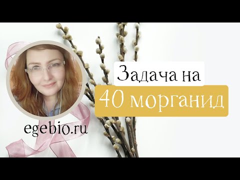 Задача "на 40 морганид" . Видеоуроки биологии на egebio.ru