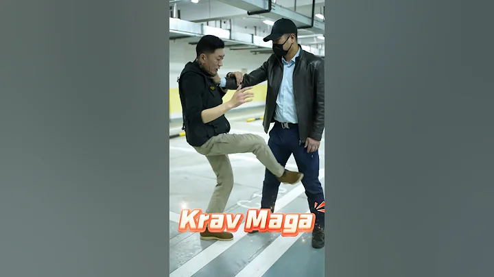 Krav Maga stunts,crack the enemy's knees,dreadful.#martialarts #kungfu #sports - 天天要聞