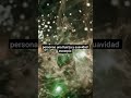 La única razón por la que Piscis y Escorpio duran para siempre