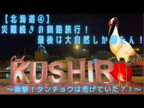 【北海道④】災難続きの釧路旅行！最後は大自然しか勝たん！～衝撃！タンチョウは禿げていた？！～