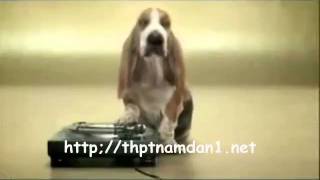 dang cap beatbox (beatboxer doger) [kingstyle]