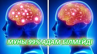 МЫНА 11 ӘДІС ЕСТЕ САҚТАУДЫ КҮШЕЙТЕДІ, КЕРЕМЕТ ӘДІСТЕР, Керек арнасы