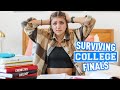 How to Survive College Finals *Cries*