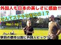 😮なんてステキな街なの!?💕外国人も大阪駅前の公園に感動!!グラングリーン大阪が外国人観光客に大人気! 大阪駅周辺を楽しむ外国人観光客【海外の反応】【大阪】【うめきた】