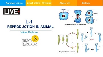 L-1 Reproduction in Animals | Class 8 Crash Course | Vikas Rathore | TTB