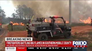 Crews battle massive wildfire in southern Mobile County