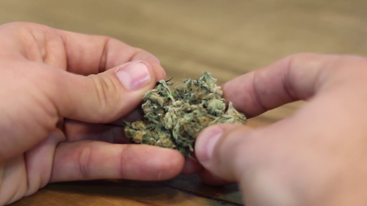 Tweed - Free Market Comparison