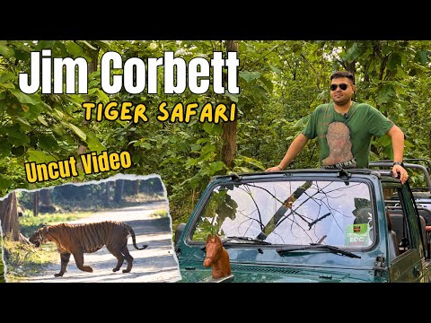 Jim Corbett National Park - Uncut Video  | Tiger Attack | Jim Corbett National Park Safari